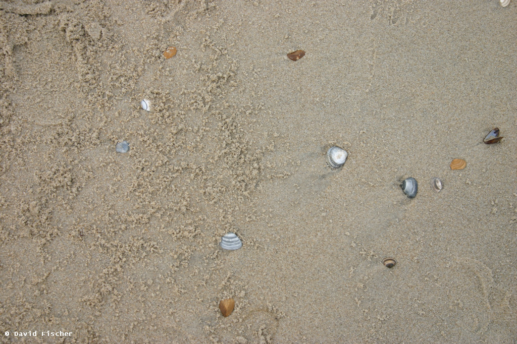 web_CRW_2070