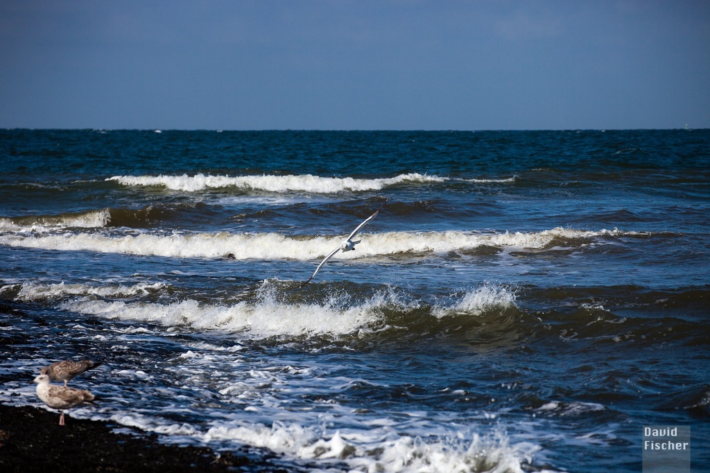 2012_Niederlande_009