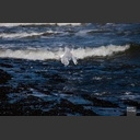 2012_Niederlande_010