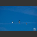 2012_Niederlande_011