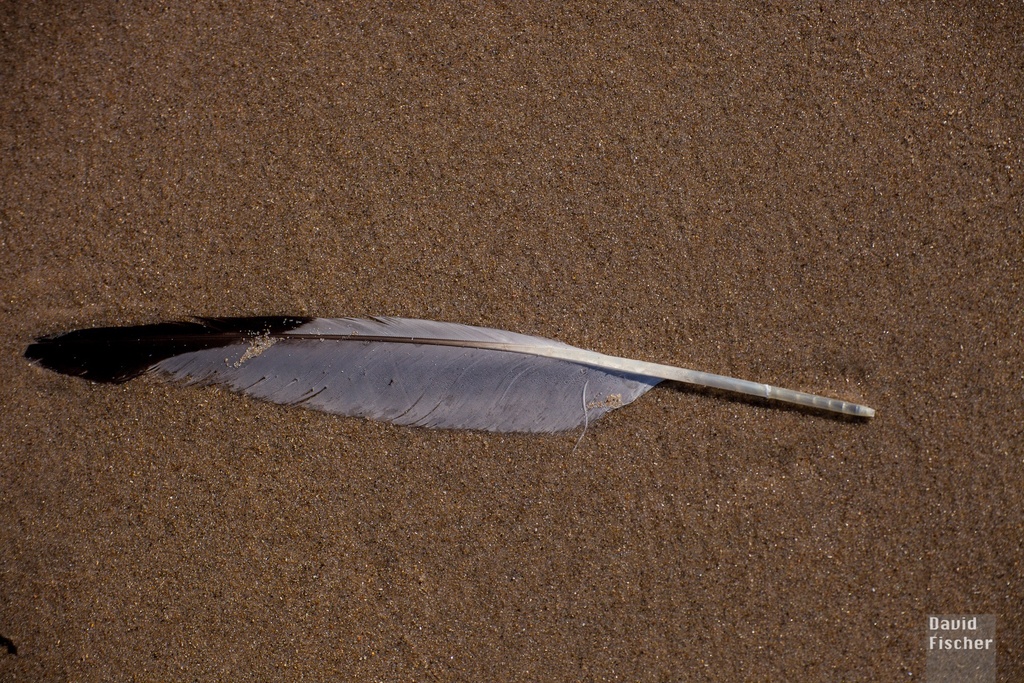 2012_Niederlande_012