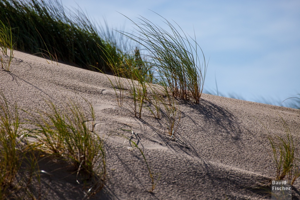 2012_Niederlande_015